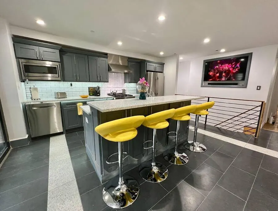 The Caez, A Modern Brooklyn Townhome With Waterfall-1